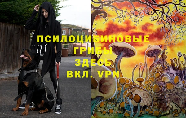 прущая мука Алексин